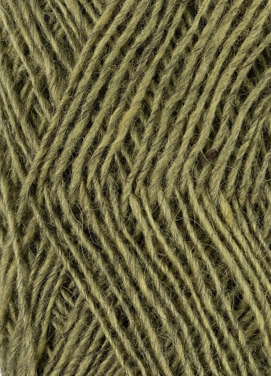 Fjallalopi moss [3031]