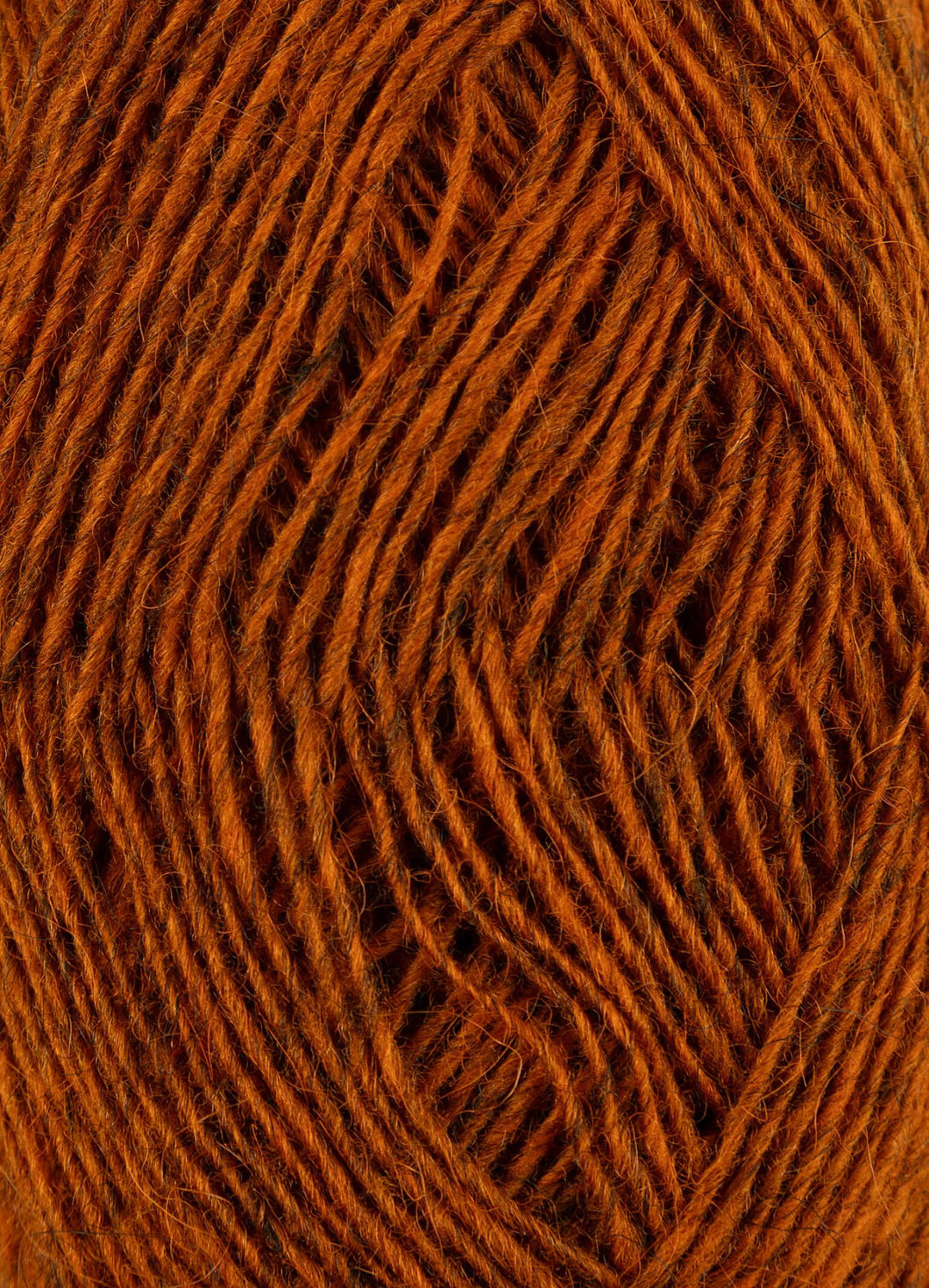 Fjallalopi [3042] ginger