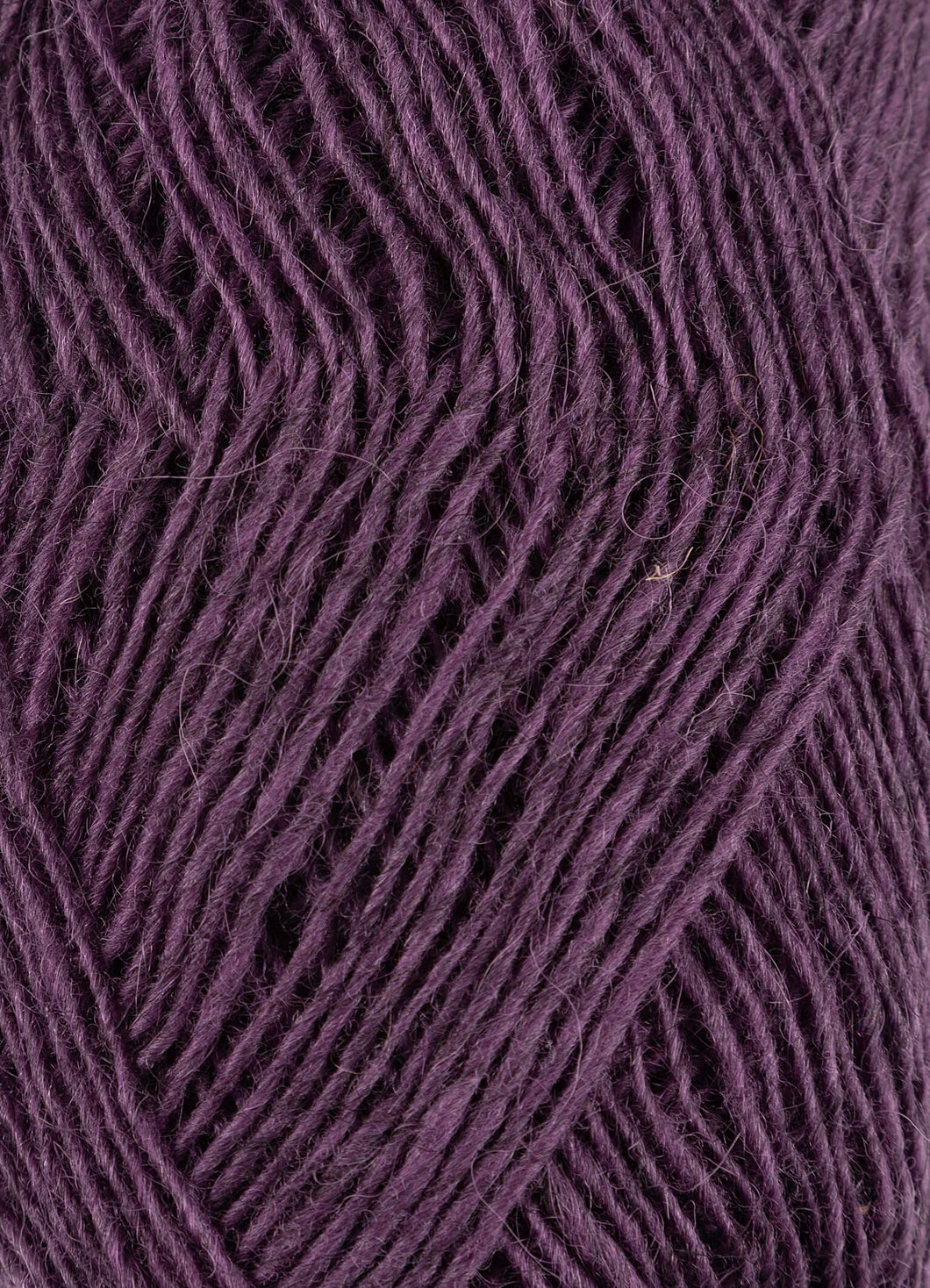 Fjallalopi purple rain [3073]