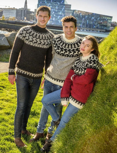 Opskrift på 36-5 HREINDÝR - Islandsk sweater med rensdyr fra Istex