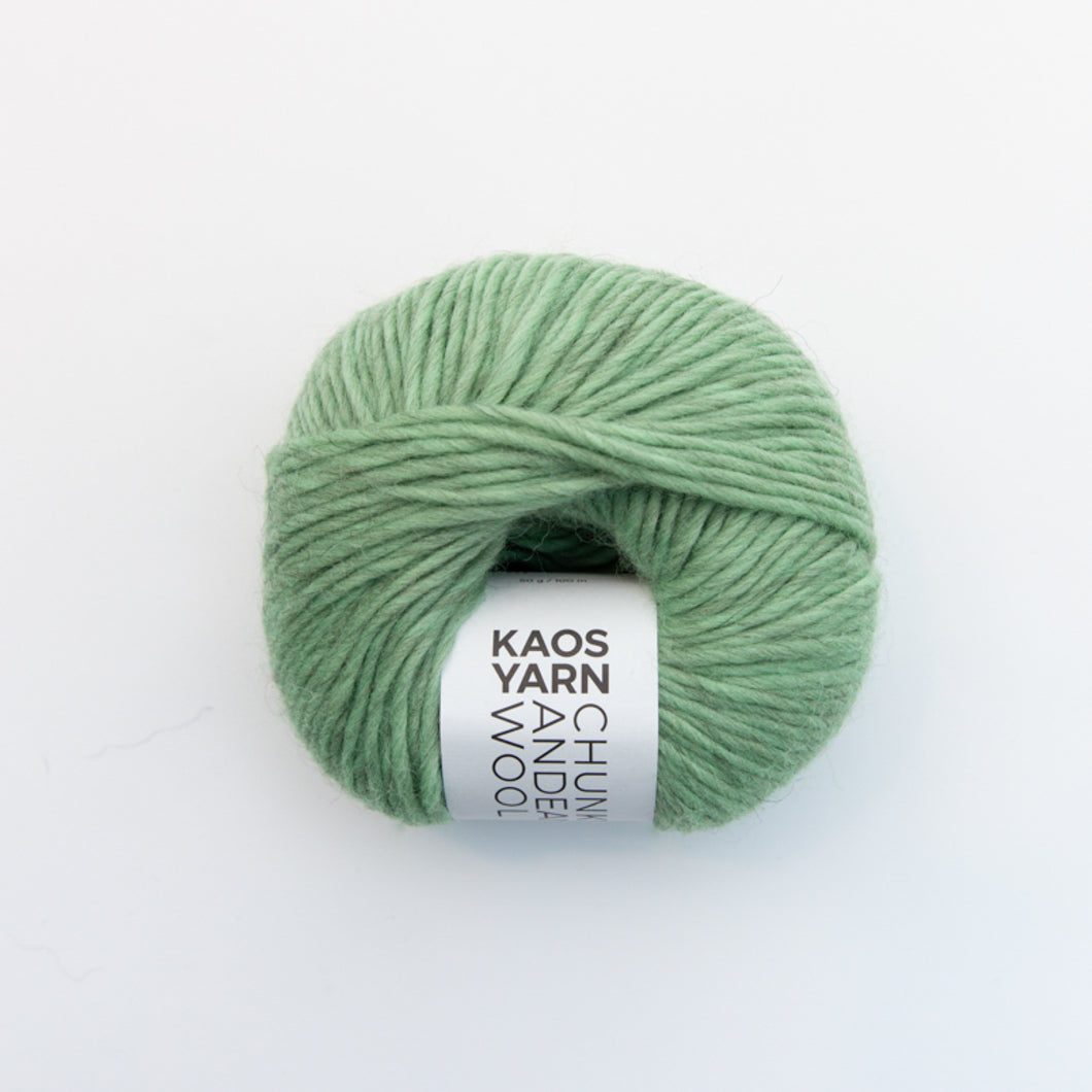 KAOS YARN Chunky Andean Wool vivacious [6076]