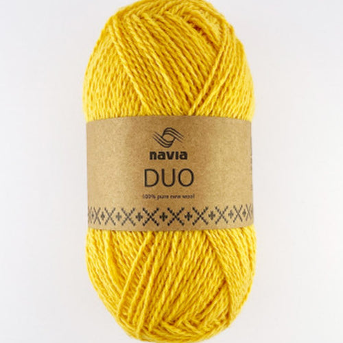 Navia Duo daylily [275]